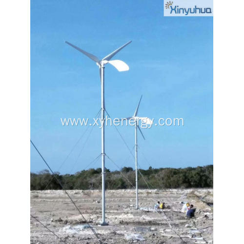 Wind Generator 100W 200W 300W 400W Wind Turbine Wind Generator Supplier